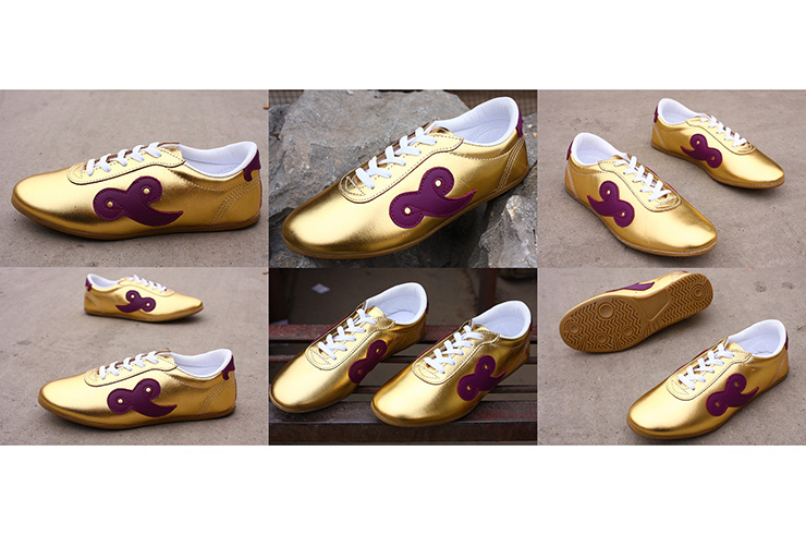 «Budosaga» Taiji Shoes