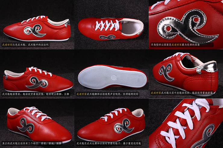 «Budosaga» Wushu Shoes