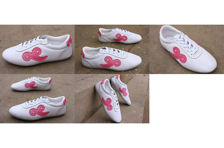 Sapatos Wushu «Budosaga»