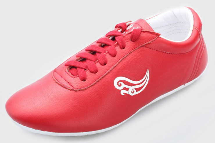 Chaussures Wushu «Jinji»