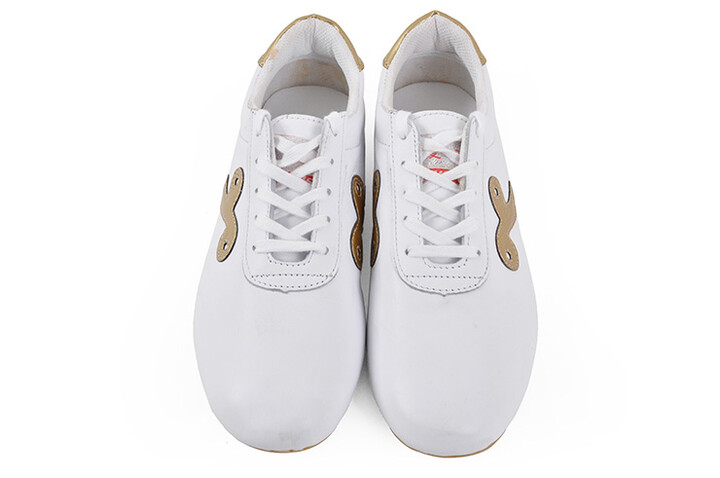 Sapatos Wushu Qiankun