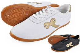 Sapatos Taiji Qiankun