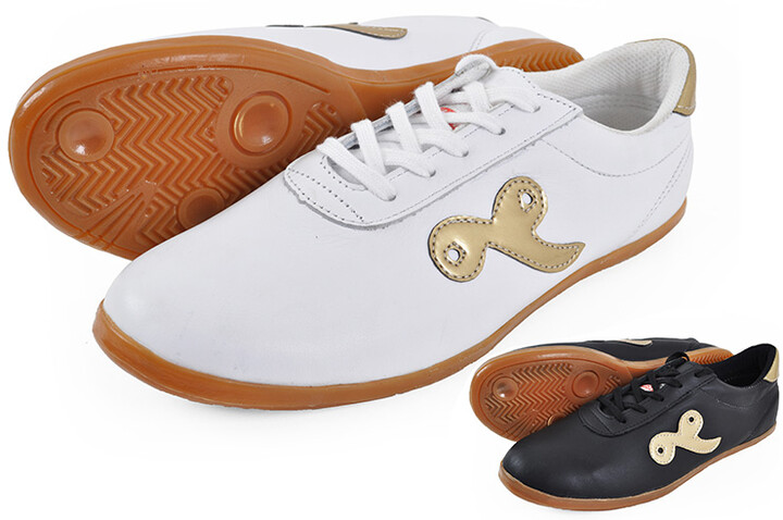 Sapatos Taiji Qiankun