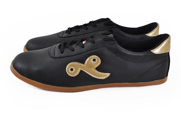 Sapatos Taiji Qiankun