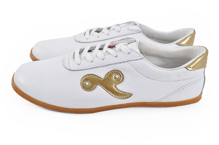 Sapatos Taiji Qiankun