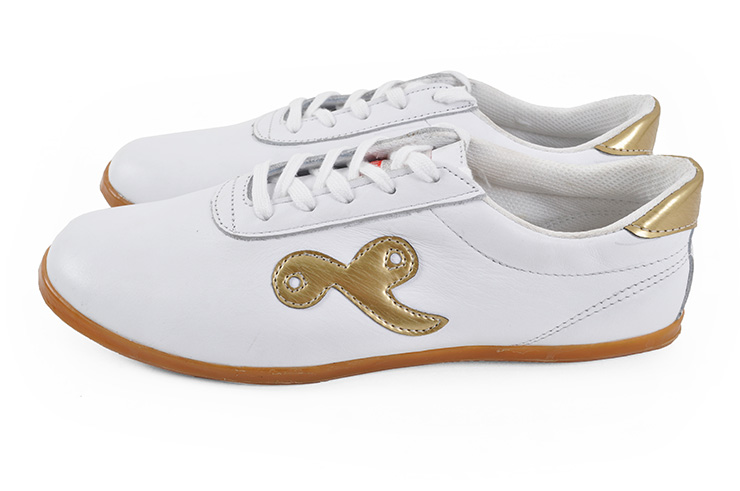 Sapatos Taiji Qiankun