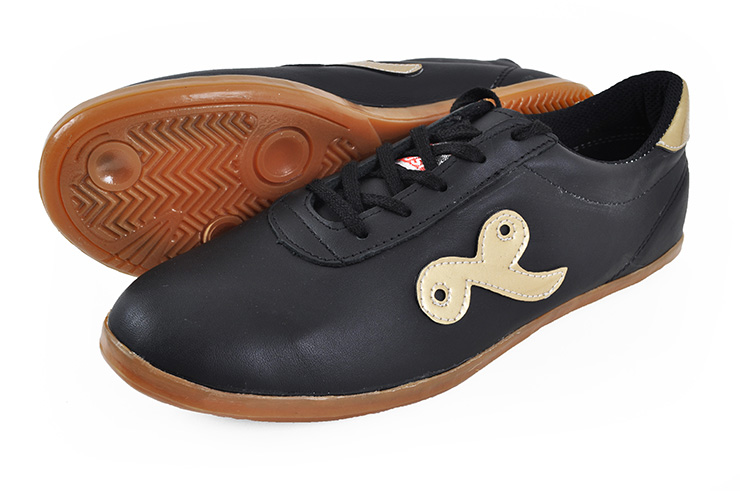 Sapatos Taiji Qiankun