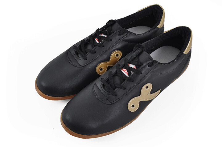 Sapatos Taiji Qiankun