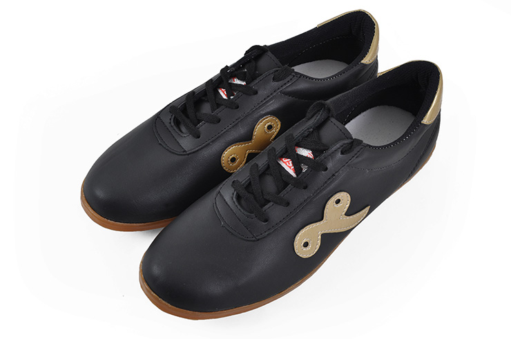 Sapatos Taiji Qiankun