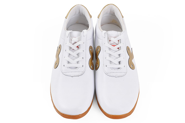 Sapatos Taiji Qiankun