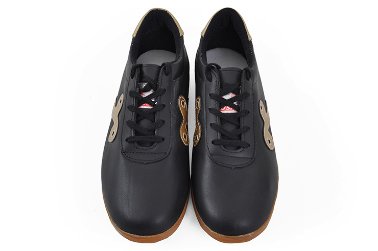 Sapatos Taiji Qiankun