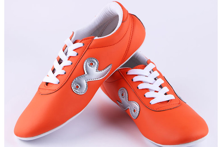 Wushu shoes Ai Wu 1