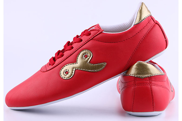 Chaussure wushu Ai Wu 1