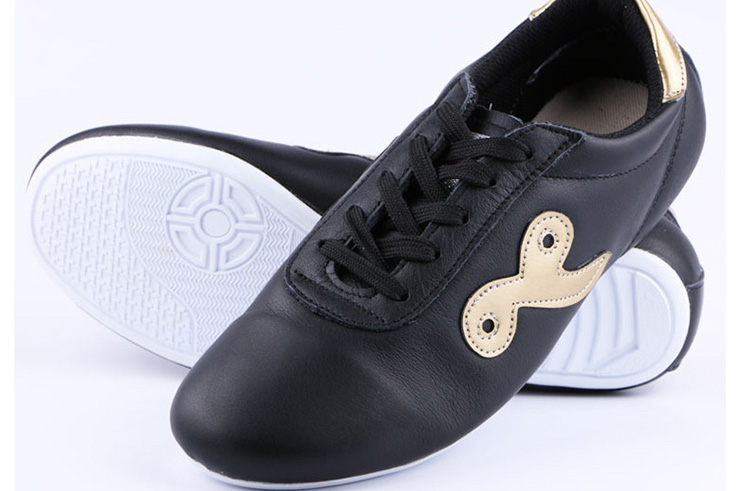 Wushu shoes Ai Wu 1