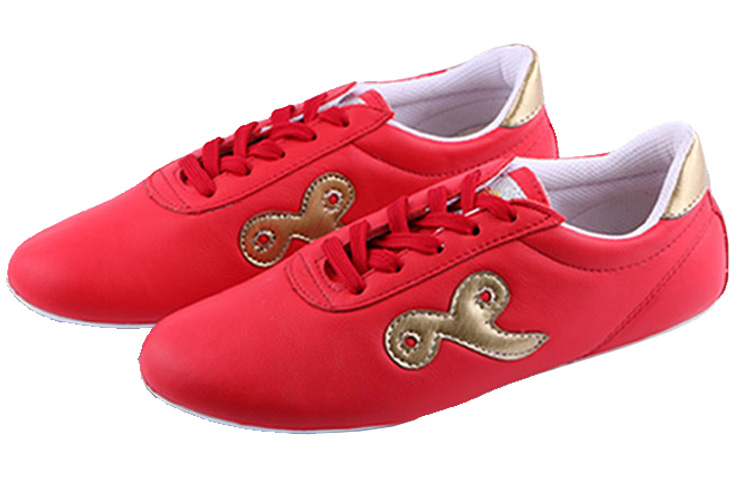 Chaussure wushu Ai Wu 1