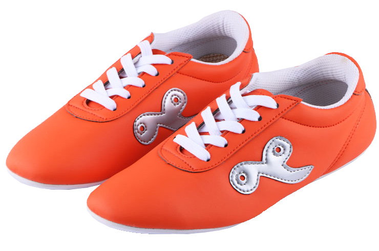 Wushu shoes Ai Wu 1