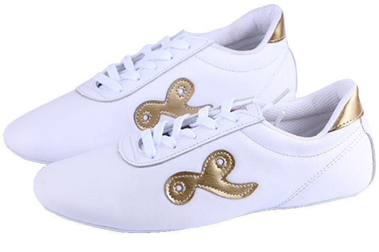 Wushu shoes Ai Wu 1