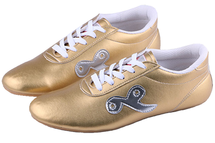 Wushu shoes Ai Wu 1