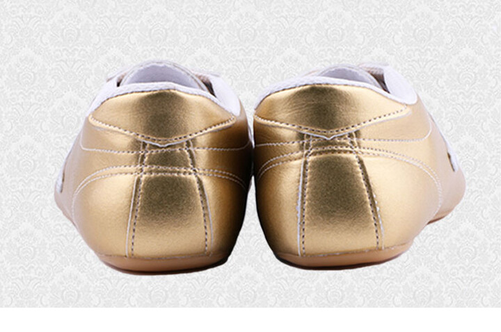 Zapatos Wushu Ai Wu 1