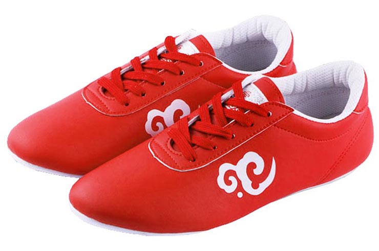 Chaussures Wushu Ai Wu 2