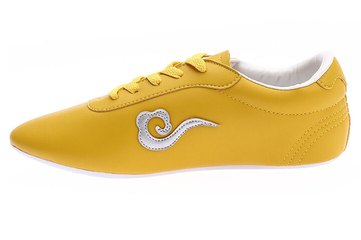 Sapatos Wushu WJT, Nuvem