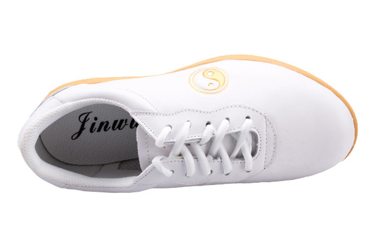 «Jinwu» Taiji Shoes 1