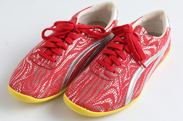 Sapatos Taiji Wushu LongQuan, Cores