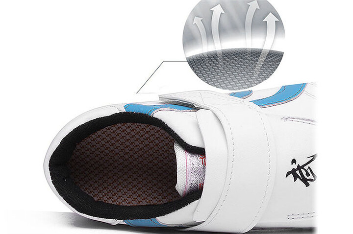 Sapatos Taekwondo Aiwu, Stripes