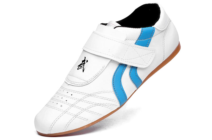 Aiwu Taekwondo Shoes, Stripes