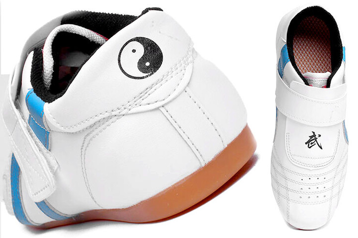 Aiwu Taekwondo Shoes, Stripes