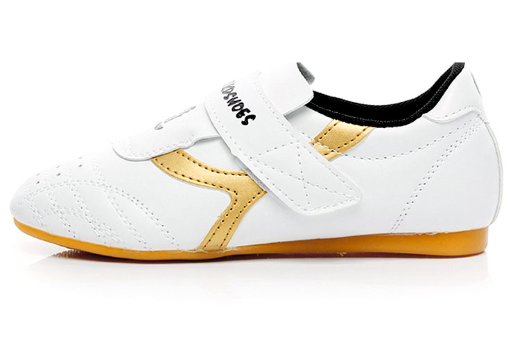 «Running Leaps » Taekwondo Shoes