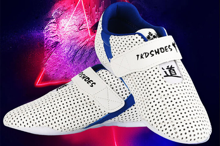 Zapatos de Taekwondo GingPai, 360