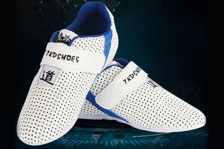 Zapatos de Taekwondo GingPai, 360