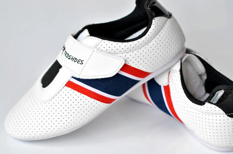 Sapatos Taekwondo TieJian, Azul Vermelho