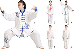 Jingyi Embroidered Taiji Uniform 2