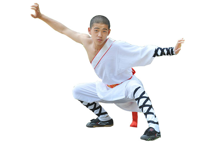 Traje Shaolin Dan Jia Seng 2