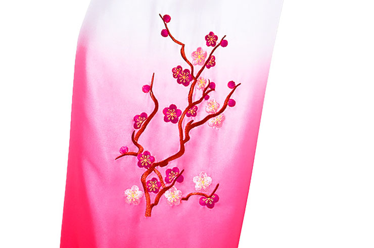 Vestido Taiji Shanren degradado 1