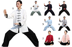 Traje Taiji ZhengFengHua, XiuXian