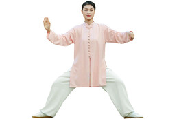 Tenue Taiji ZhengFengHua, PiaoYi