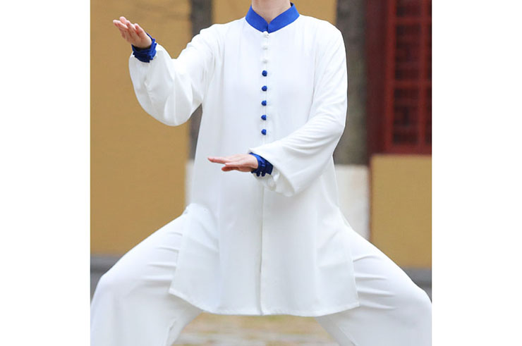 Tenue Taiji ZhengFengHua, XiuShen