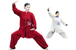 Tenue Taiji ZhengFengHua, ShouHuiHua