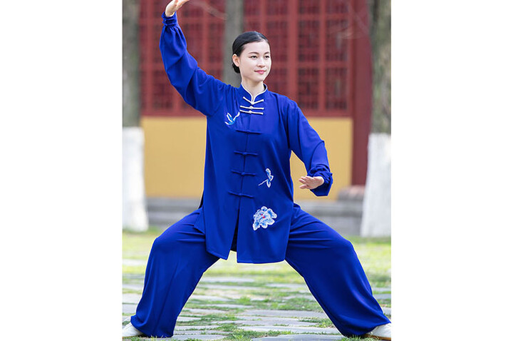 Vestido Taiji ZhengFengHua, DieHua