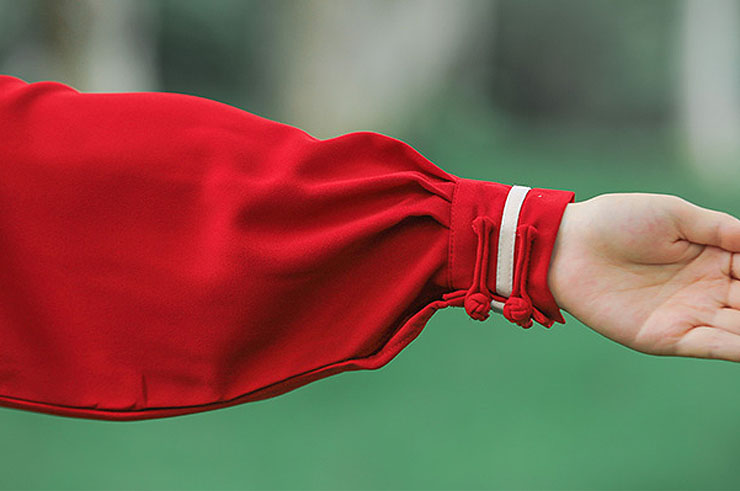 ZhengFengHua Taiji Uniform, ShouHuiYu