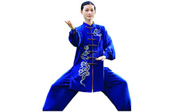 Tenue Taiji ZhengFengHua, ShouHuiYun