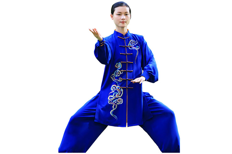 Tenue Taiji ZhengFengHua, ShouHuiYun