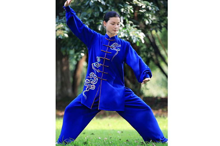 Traje de Taiji ZhengFengHua, ShouHuiYun