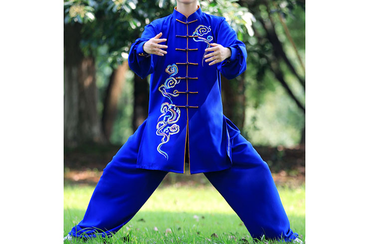 Traje de Taiji ZhengFengHua, ShouHuiYun