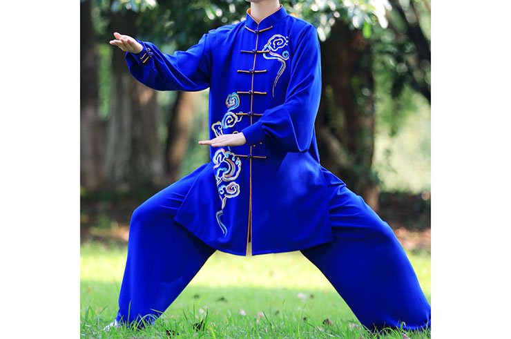 Traje de Taiji ZhengFengHua, ShouHuiYun