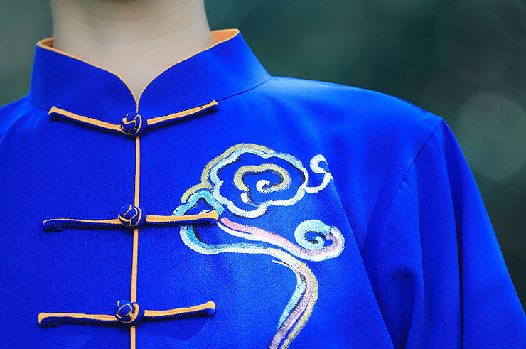 Traje de Taiji ZhengFengHua, ShouHuiYun