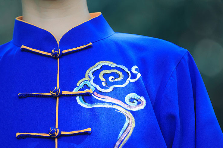 ZhengFengHua Taiji Uniform, ShouHuiYun